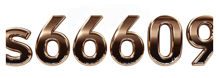 s66609 logo